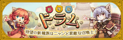 ドラム特設