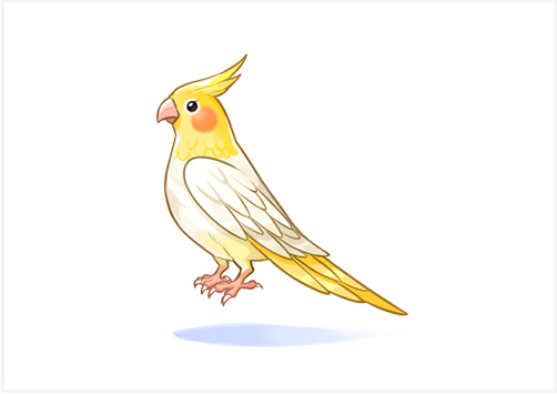 おしゃべりオカメインコ[0]