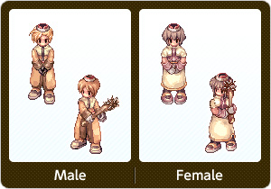 アコライト・Male,アコライト・Female
