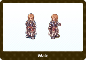 トルバドゥール・Male,トルバドゥール・Female