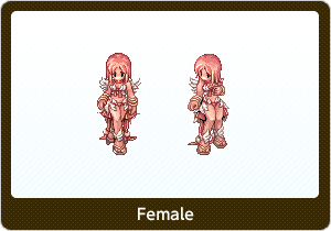 ワンダラー・Male,ワンダラー・Female
