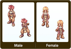 ノービス・Male,ノービス・Female