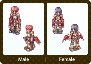ドラゴンナイト・Male,ドラゴンナイト・Female