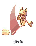 月夜花