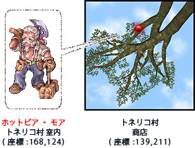 「ホットビア・モア」に「根っこ形の金貨」