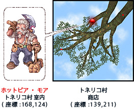 ホットビア・モア