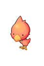 ピッキ