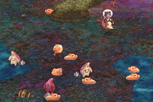 星明りの珊瑚礁
