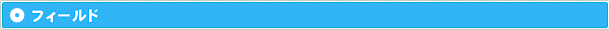 フィールド