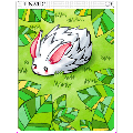 ルナティックカード