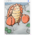 バドンカード