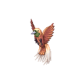 極楽鳥