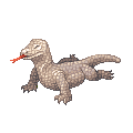 デワタドラゴン