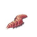 アルギオペ