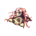 マンドラゴラ