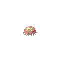 プランクトン