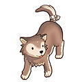 子デザートウルフ