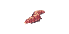 アルギオペ