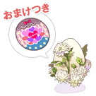コスたまClassicIIパック