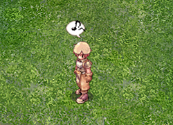 エモーション