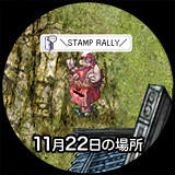 11月22日