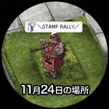 11月24日