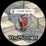 11月25日