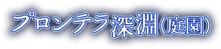 プロンテラ深淵(庭園)
