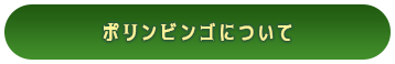 ポリンビンゴについて
