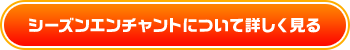 シーズンエンチャントについて詳しく見る