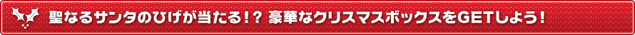 聖なるサンタのひげが当たる!?　豪華なクリスマスボックスをGETしよう！