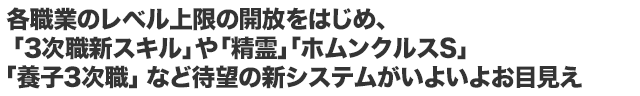 各職業のレベル上限の開放をはじめ、「3次職新スキル」や「精霊」「ホムンクルスS」「養子3次職」など待望の新システムがいよいよお目見え