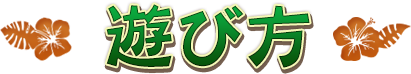 遊び方