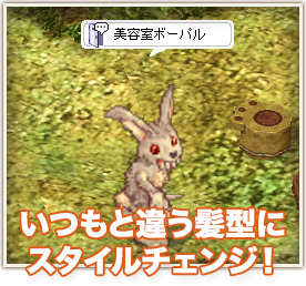 いつもと違う髪型にスタイルチェンジ！