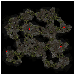 ねじれた暗黒の地