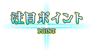 注目ポイント