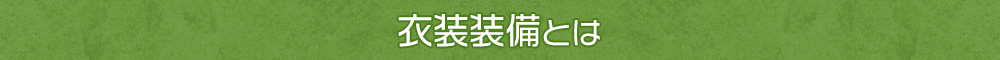 衣装装備とは