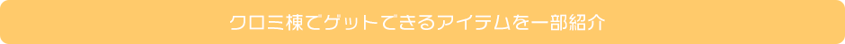 クロミ棟でゲットできるアイテムを一部紹介