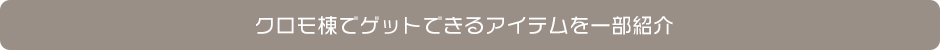 クロモ棟でゲットできるアイテムを一部紹介