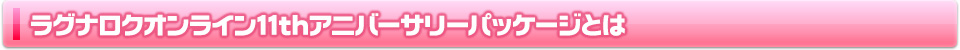 11thアニバーサリーパッケージとは