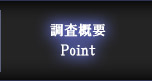 調査概要