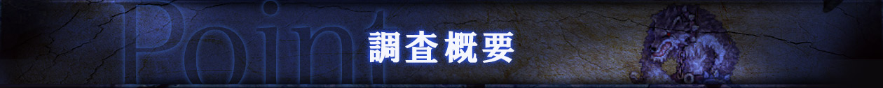 調査概要 -Point-