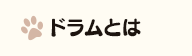 ドラムとは