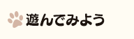 遊んでみよう