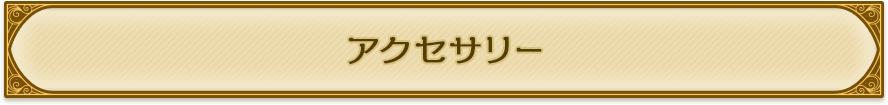 アクセサリー
