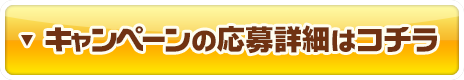 キャンペーンの応募詳細はコチラ