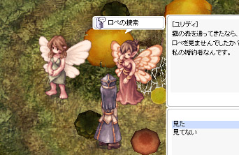 「ロペの捜索」クエスト