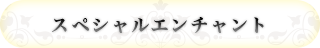 スペシャルエンチャント