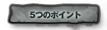 5つのポイント