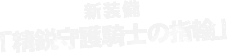新装備「精鋭守護騎士の指輪」
